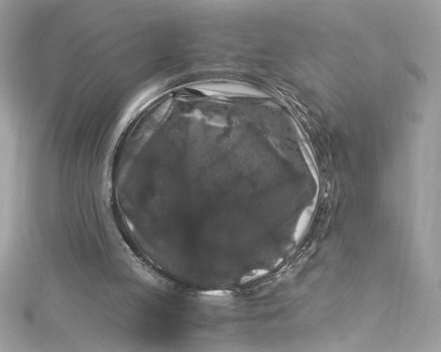 X0000115060053200911161617