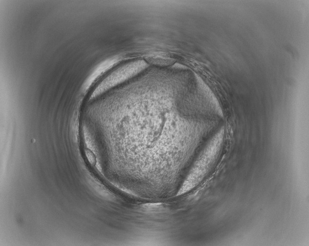 X0000115060054200911161617