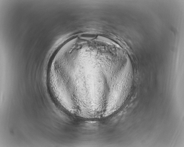 X0000115060055200911161617