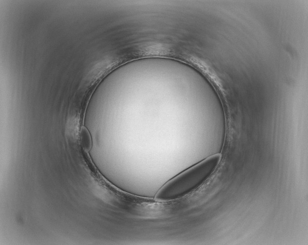 X0000115060057200911161617