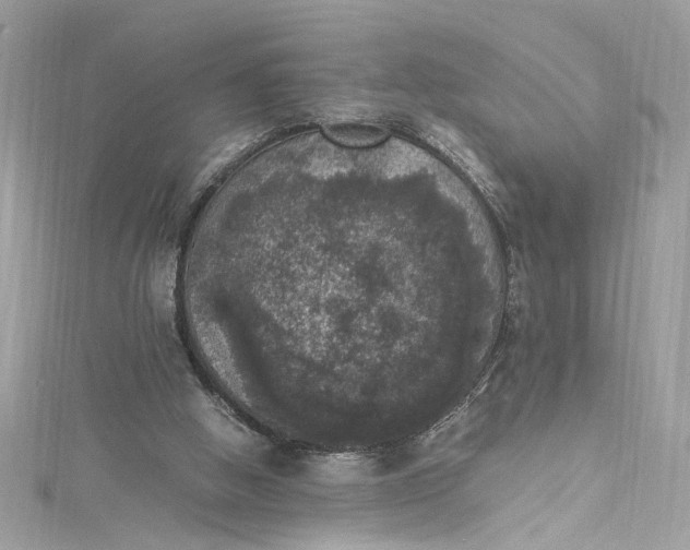 X0000115060058200911161617