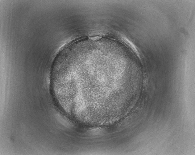 X0000115060059200911161617