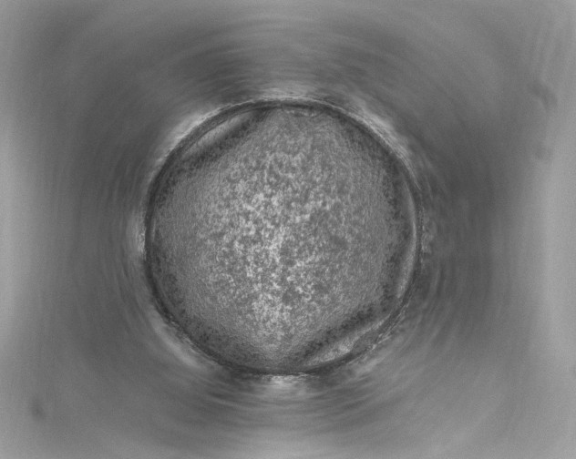 X0000115060060200911161617