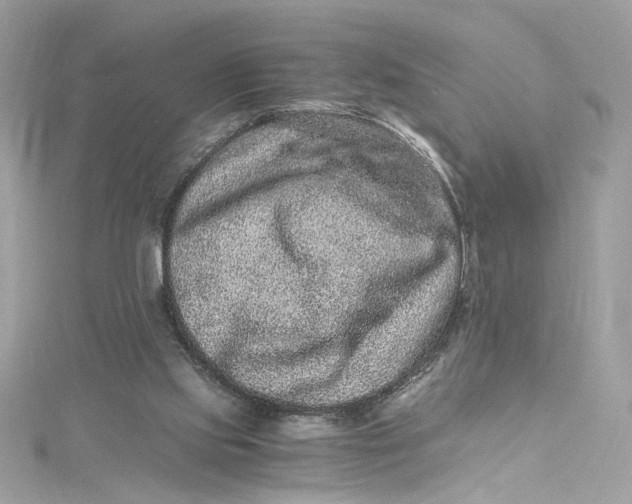 X0000115060061200911161617