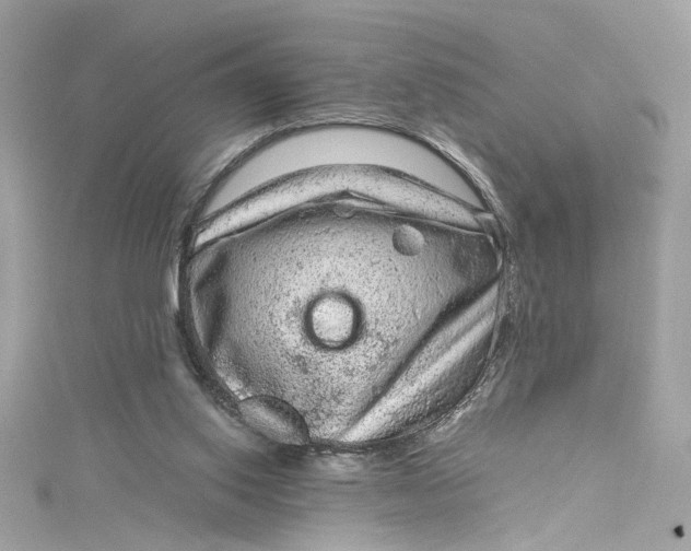 X0000115060062200911161617