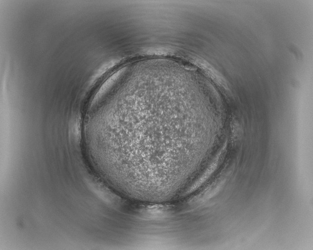 X0000115060064200911161617