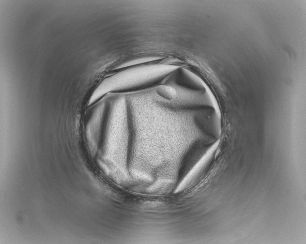 X0000115060066200911161617