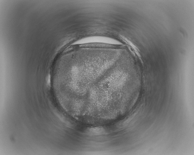 X0000115060067200911161617