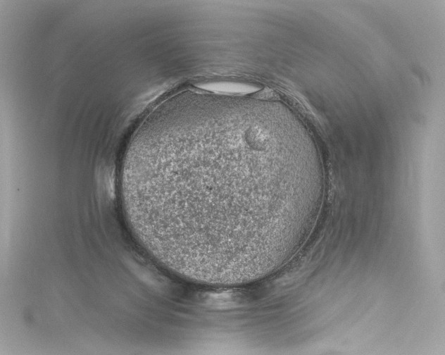 X0000115060068200911161617