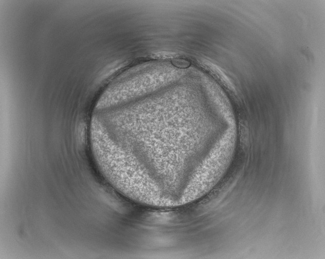 X0000115060071200911161617