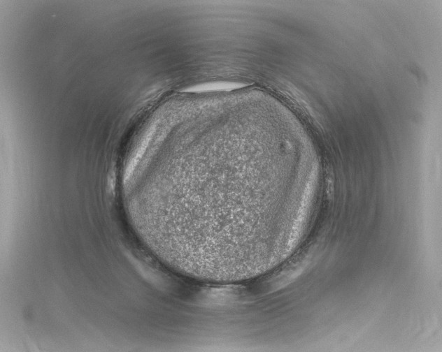 X0000115060072200911161617