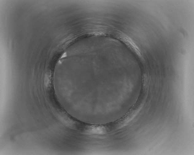 X0000115060073200911161617