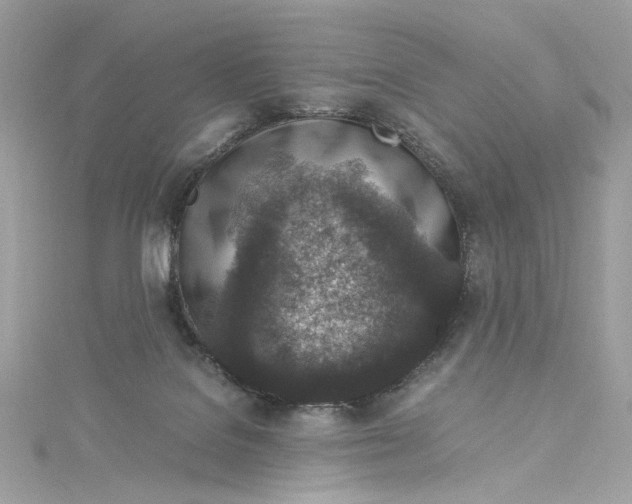 X0000115060076200911161617