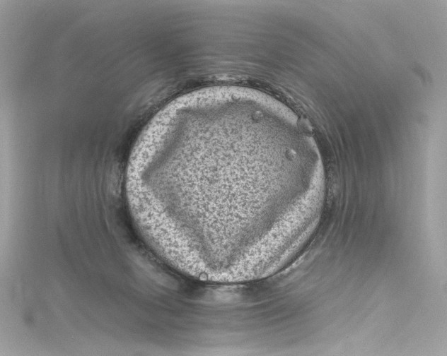 X0000115060078200911161618