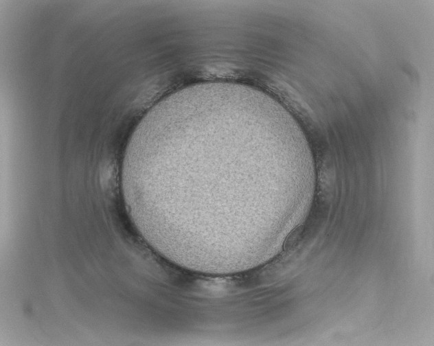 X0000115060079200911161618