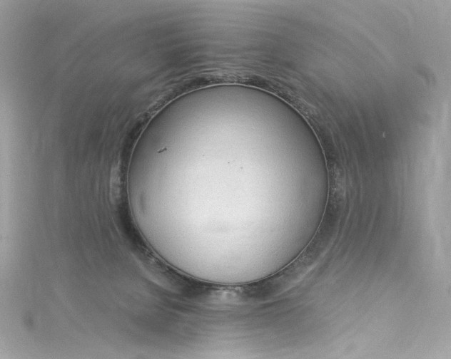 X0000115060080200911161618