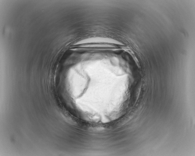 X0000115060081200911161618