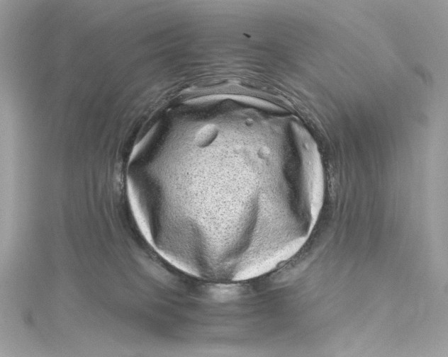 X0000115060085200911161618