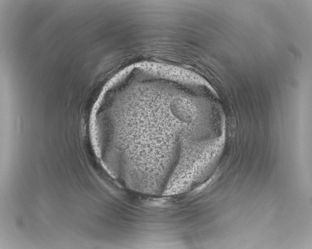 X0000115060086200911161618