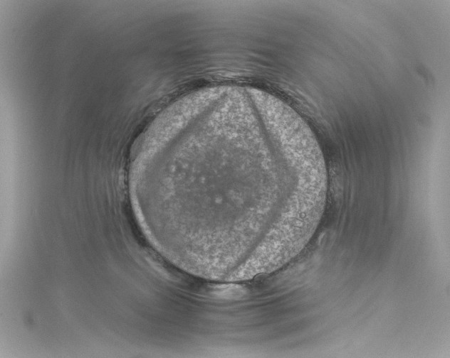 X0000115060087200911161618