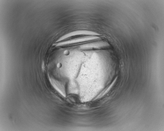 X0000115060089200911161618