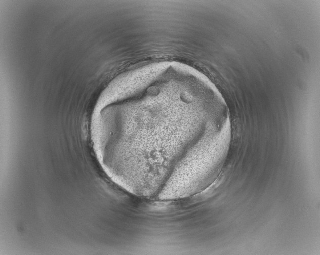 X0000115060090200911161618