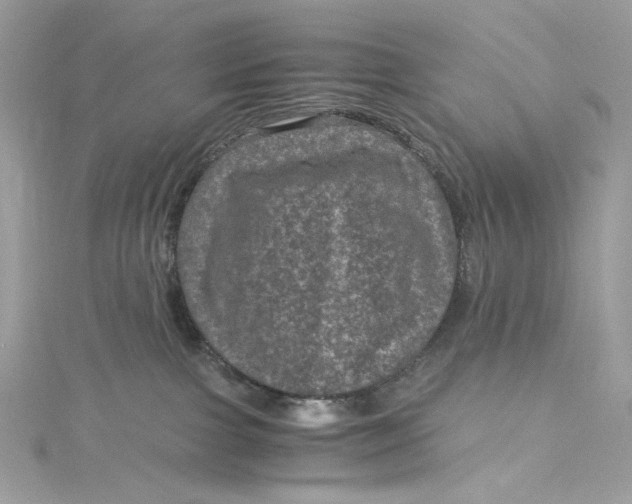 X0000115060091200911161618