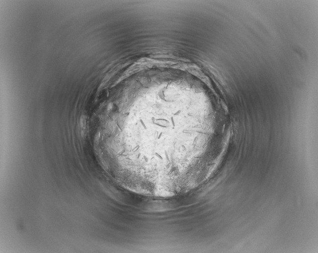 X0000115060093200911161618