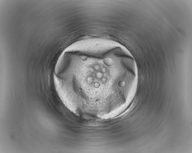 X0000115060094200911161618