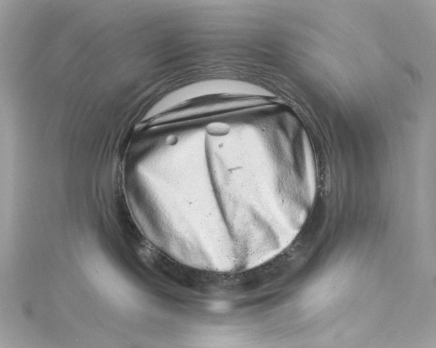 X0000115060095200911161618