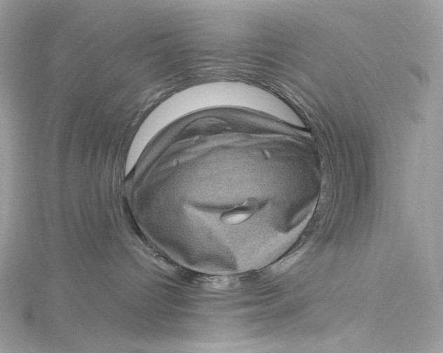 X0000115060096200911161618