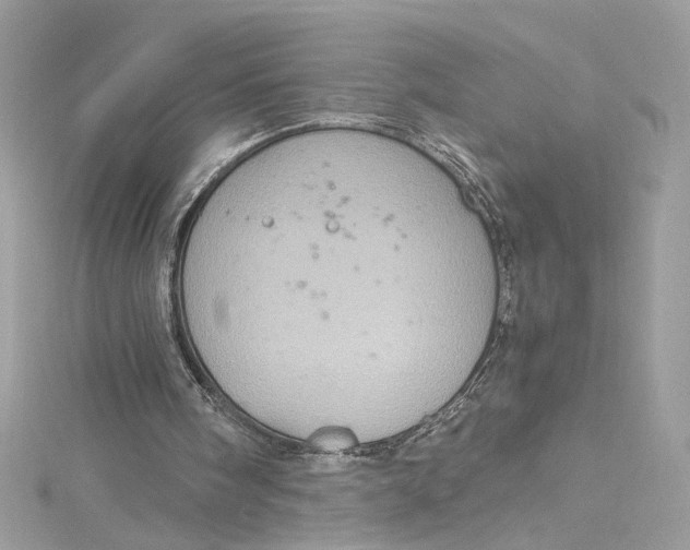 X0000115060098200911161617