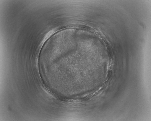 X0000115060099200911161617