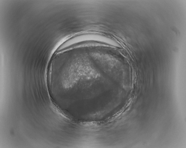 X0000115060100200911161617