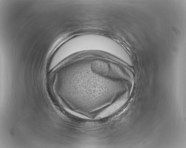 X0000115060101200911161617