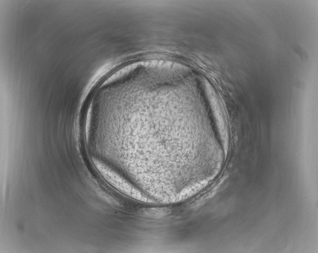 X0000115060102200911161617