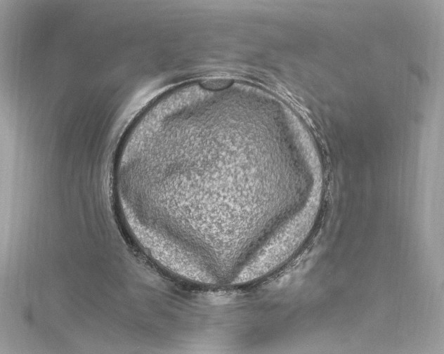 X0000115060103200911161617