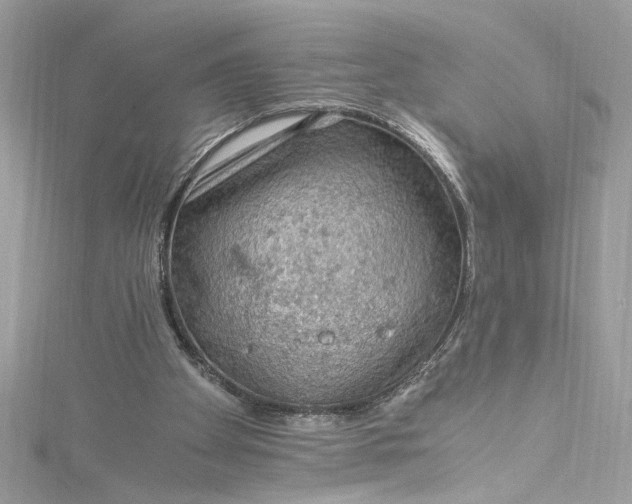 X0000115060105200911161617