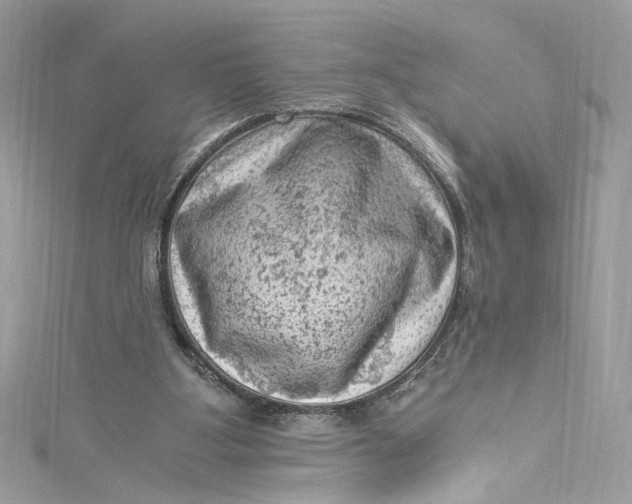 X0000115060107200911161617