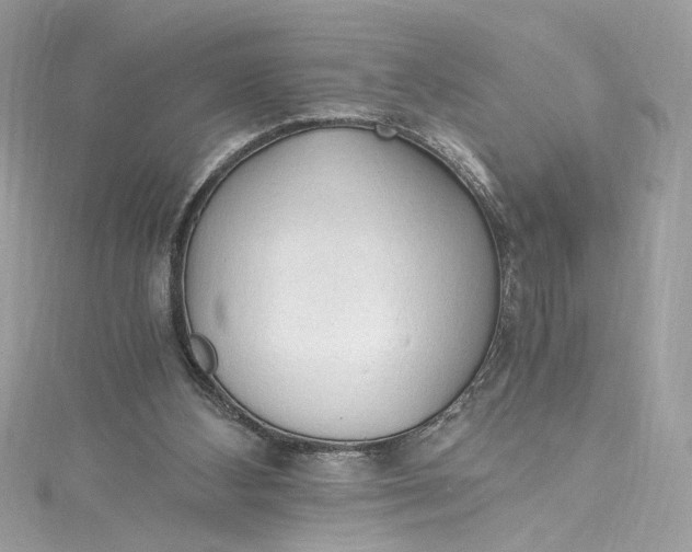 X0000115060108200911161617