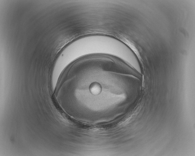 X0000115060109200911161617