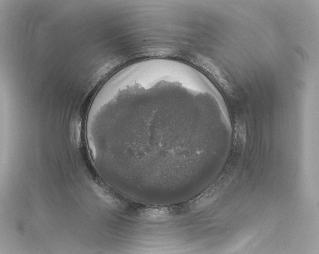 X0000115060110200911161617