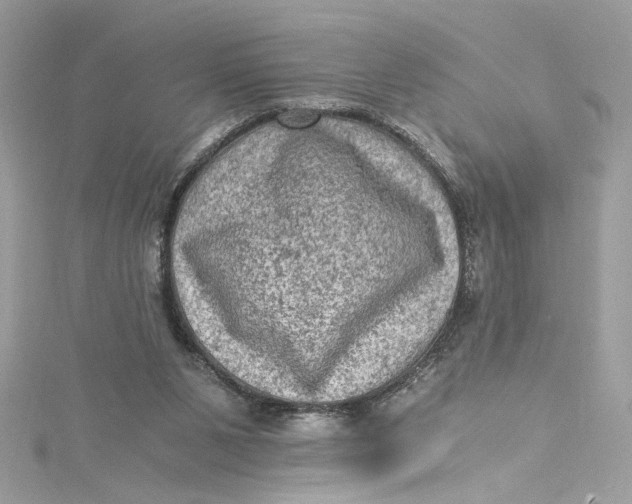 X0000115060111200911161617