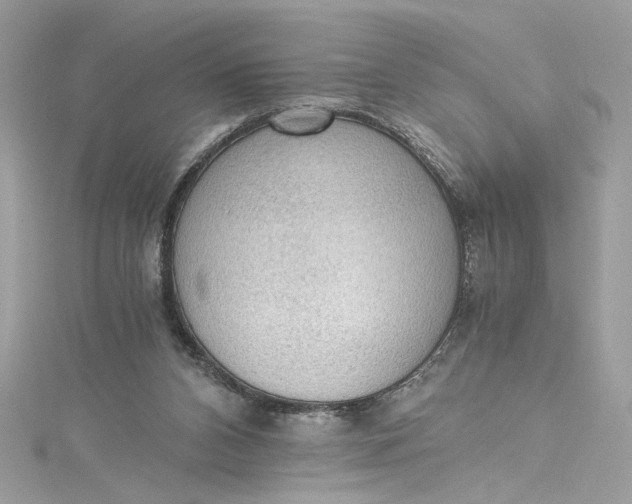 X0000115060112200911161617