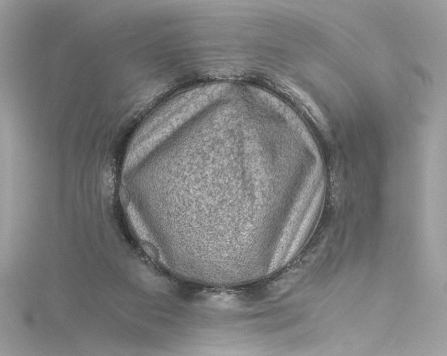 X0000115060113200911161617