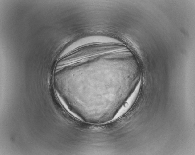 X0000115060115200911161617