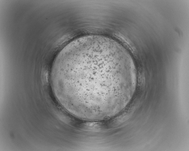 X0000115060117200911161617