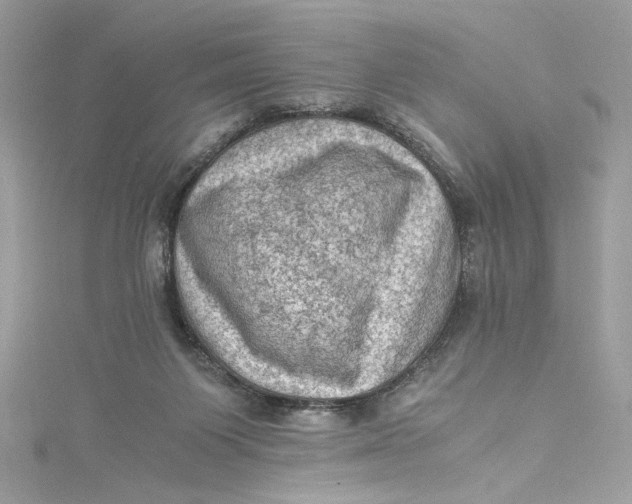 X0000115060119200911161616