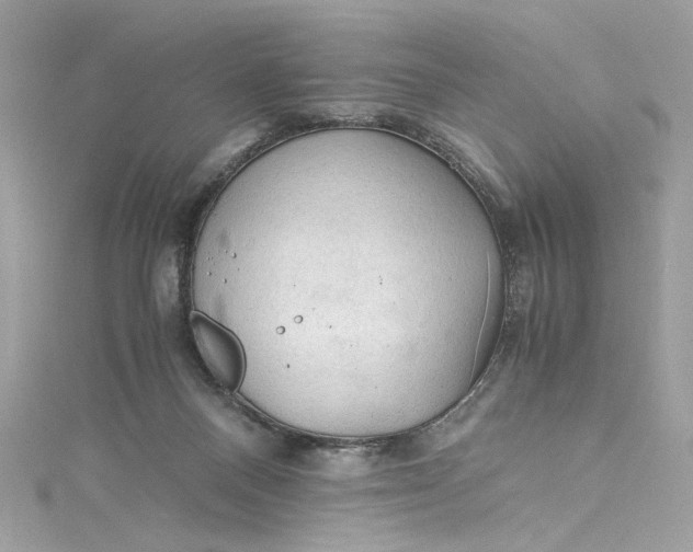 X0000115060120200911161616