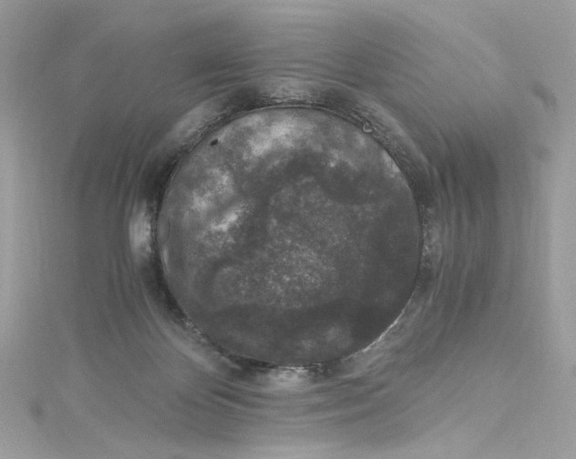 X0000115060124200911161616